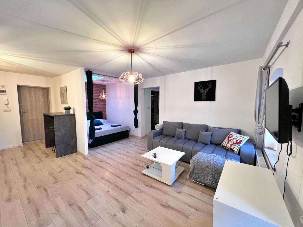 Apartament W Samym Centrum Jeleniej Gory Jelenia Góra Exteriör bild
